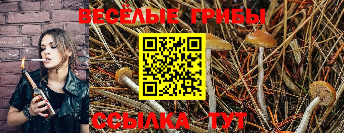 Галлюциногенные грибы Cubensis  Псилоцибиновые грибы ЛСД  Вход с VPN  Златоуст 